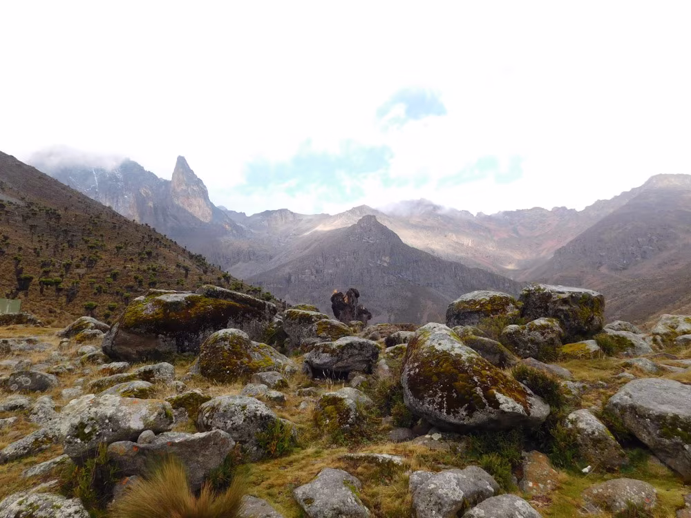 Climbing Mount Kenya and Mount Kilimanjaro
