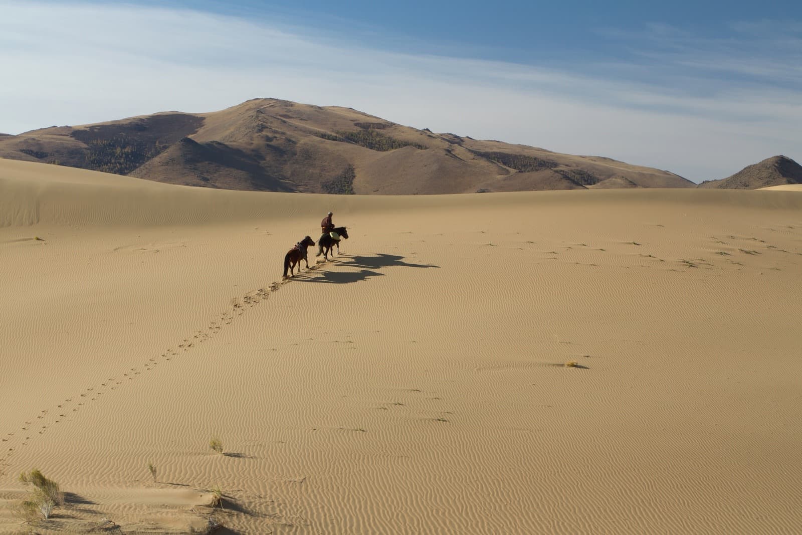 The Dunes of Mongol Els